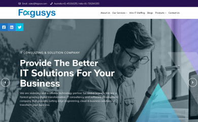 fagusys.com screenshot