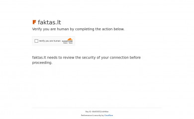 faktas.lt screenshot
