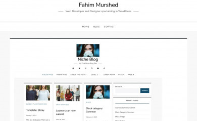 https://fahimm.com/niche-blog/ screenshot