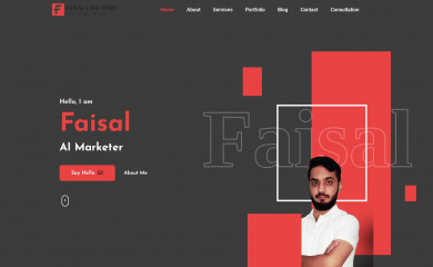 faisalchaudhry.com screenshot