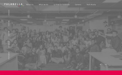 falabellaindia.com screenshot