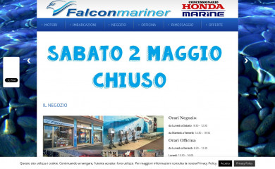 falconmariner.com screenshot
