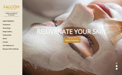 falconskintherapy.com screenshot