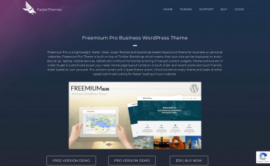 https://fasterthemes.com/wordpress-themes/Freemium screenshot