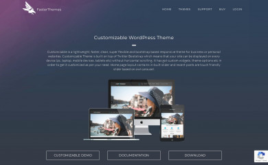 Customizable screenshot