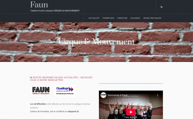 faun-arts.com screenshot