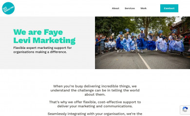 fayelevi.com screenshot