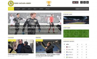 fcsioni.ge screenshot