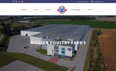 fdmizgier.pl screenshot
