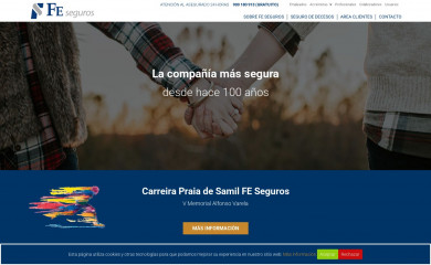fe-seguros.com screenshot
