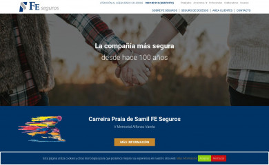fe-seguros.com screenshot