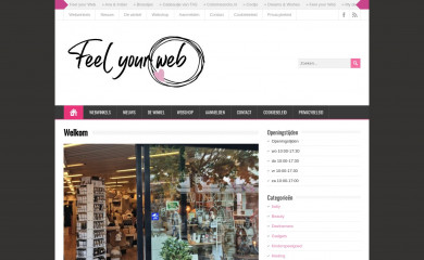 feelyourweb.nl screenshot