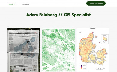 feinberg.dk screenshot
