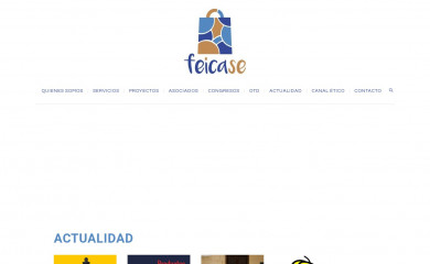 feicase.com screenshot