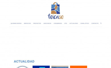 feicase.com screenshot