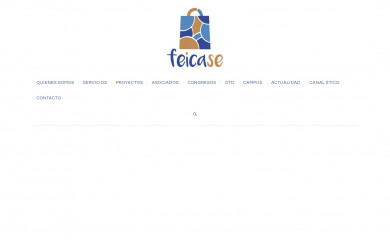 feicase.com screenshot