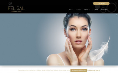 felisal.pl screenshot