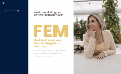 fembruinsma.nl screenshot