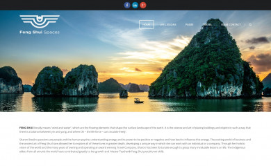 fengshuispaces.com screenshot