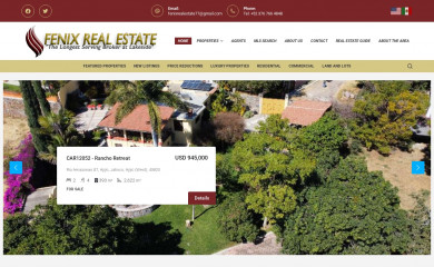 fenixrealestate.net screenshot