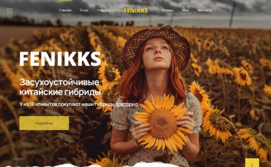 fenikks.kz screenshot