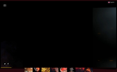 feniksevents.be screenshot