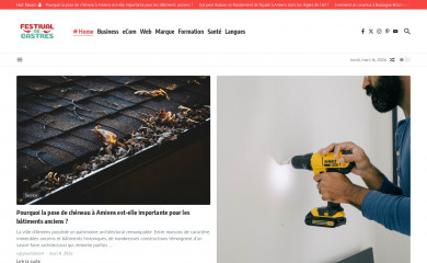 festival-castres.fr screenshot