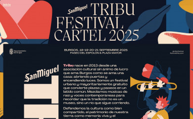festivaltribu.com screenshot