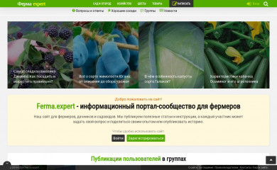 ferma.expert screenshot