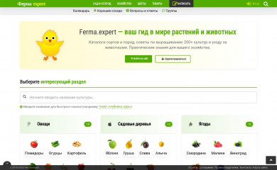 ferma.expert screenshot