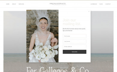 fergallegos.com screenshot