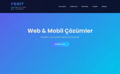 ferit.com.tr screenshot