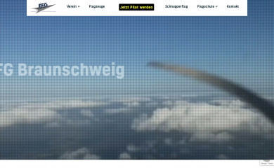 ffg-braunschweig.de screenshot
