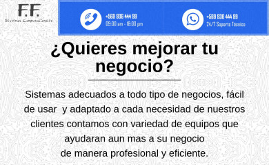 ffsistemas.cl screenshot