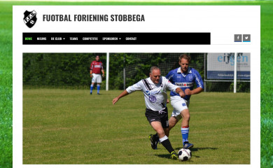 ffs-vegelinsoord.nl screenshot