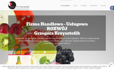 fhurozwoj.pl screenshot