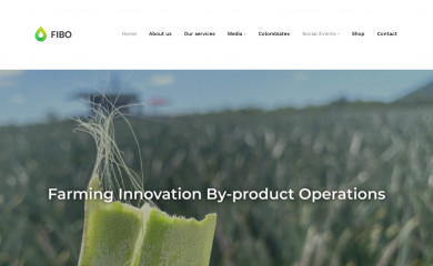 fibogroup.com.au screenshot