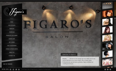 figarossalon.com screenshot