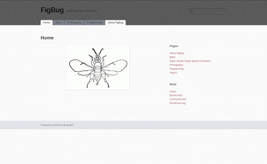 figbug.com screenshot
