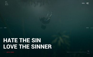 filmtailor.com screenshot