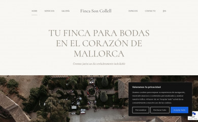 fincasoncollell.com screenshot