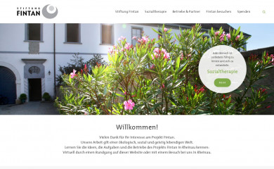fintan.ch screenshot
