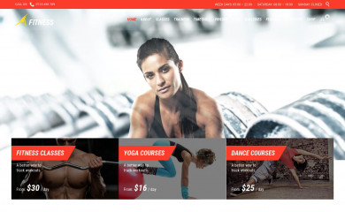 http://fitness-wellness.vamtam.com screenshot