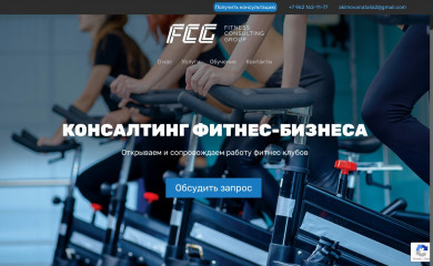 fitconsgroup.ru screenshot