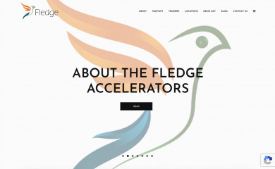 fledge.co screenshot