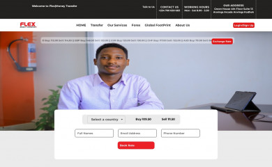 flex-money.com screenshot