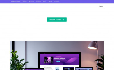 Flexx Theme - Professional screenshot