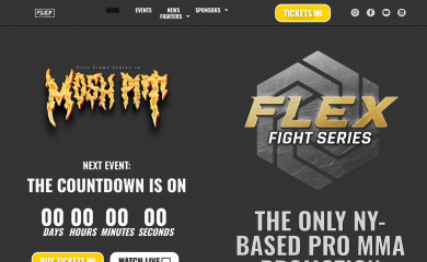 flexfights.com screenshot