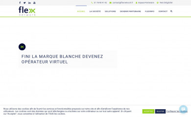 flexnetwork.fr screenshot