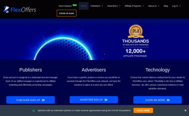 flexoffers.com screenshot